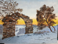 "Follies In The Snow"
